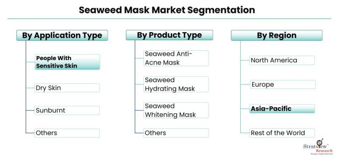 Seaweed-Mask-Market-Segmentation